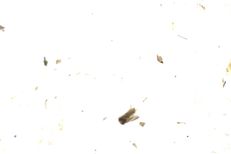 Image 116